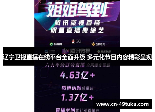 辽宁卫视直播在线平台全面升级 多元化节目内容精彩呈现