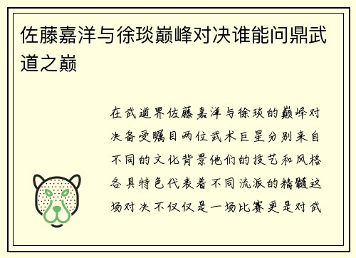 佐藤嘉洋与徐琰巅峰对决谁能问鼎武道之巅