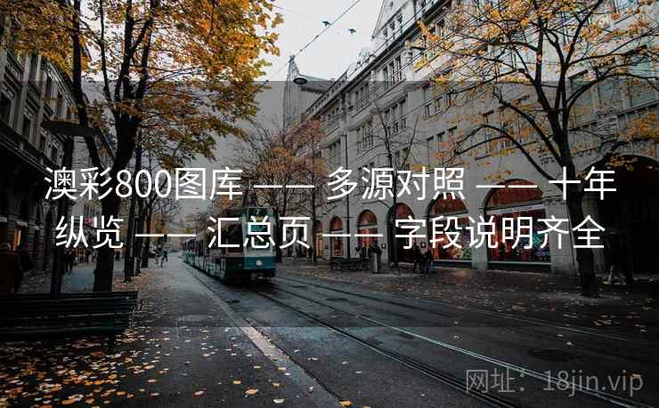 澳彩800图库 —— 多源对照 —— 十年纵览 —— 汇总页 —— 字段说明齐全