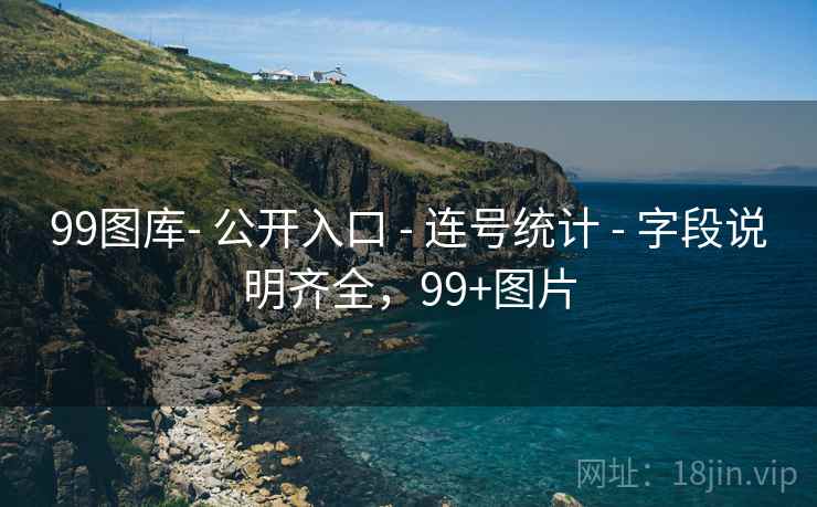99图库- 公开入口 - 连号统计 - 字段说明齐全，99+图片
